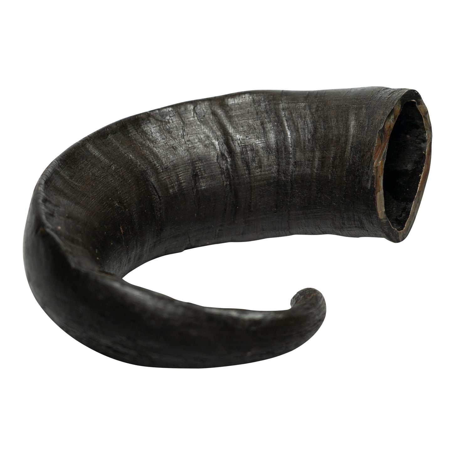 Water Buffalo Horn Dog Chews-2 Count-15 oz (WSP)