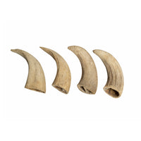 Water Buffalo Horn Core Dog Chews-2 Count-10 oz - Rozie's Pet Supply LLC