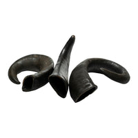 Water Buffalo Horn Dog Chews-2 Count-15 oz (WSP) - Rozie's Pet Supply LLC