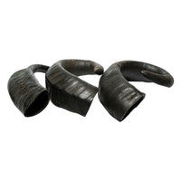 Water Buffalo Horn Dog Chews-2 Count-15 oz (WSP) - Rozie's Pet Supply LLC