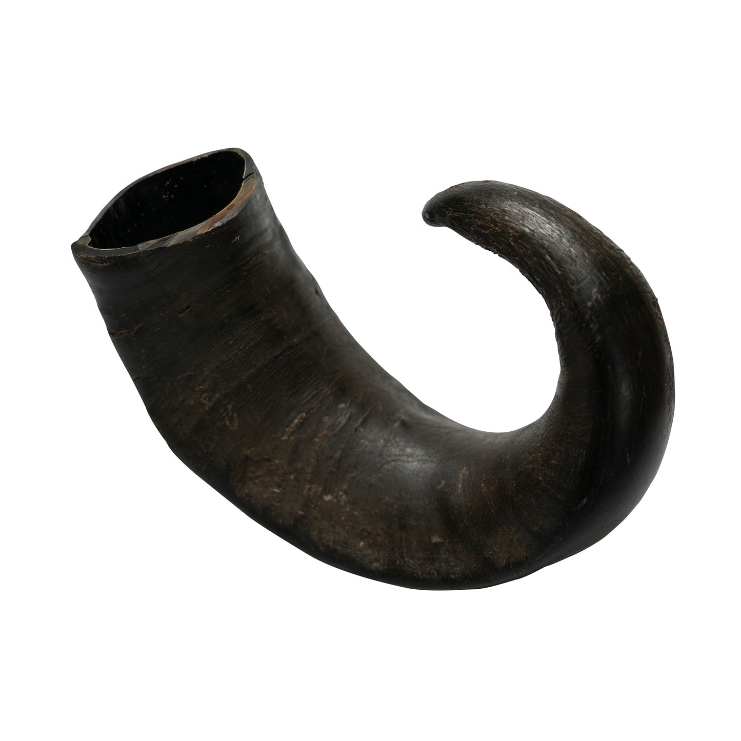 Water Buffalo Horn Dog Chews-2 Count-15 oz (WSP)