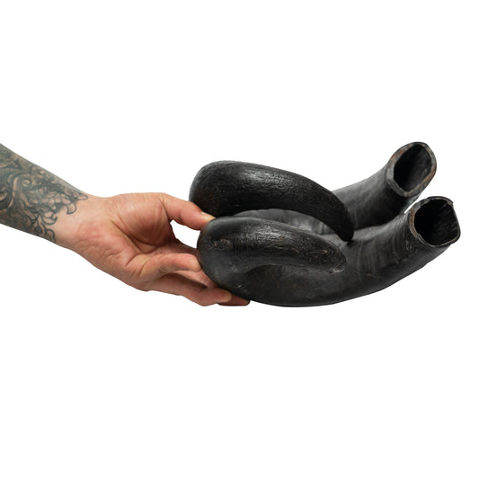 dogs-water-buffalo-horn-roziespetsupply.com