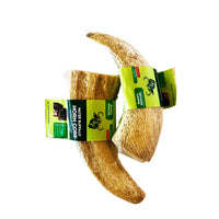 Water Buffalo Horn Core Dog Chews-2 Count-10 oz (WSP) - Rozie's Pet Supply LLC