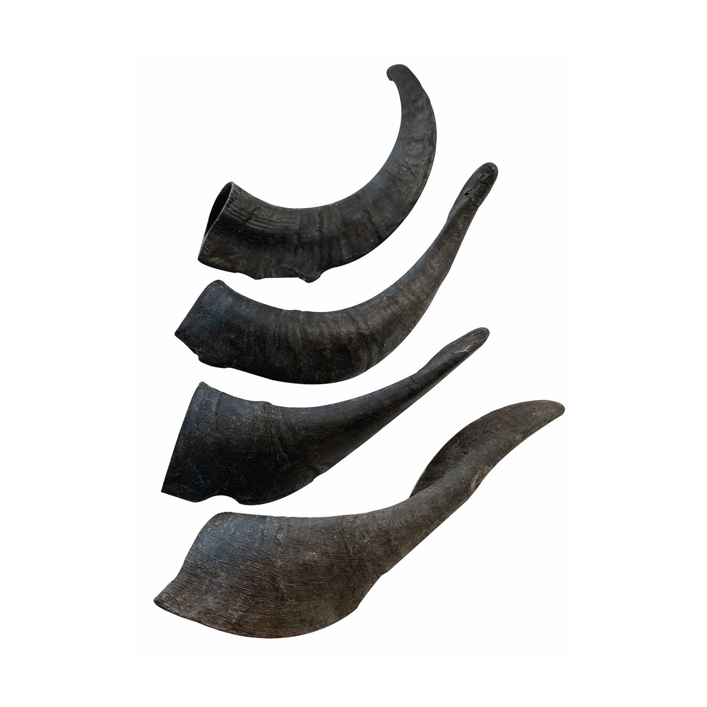 Mountain Goat Horn Dog Chews-10 Count-10 oz (WSP)