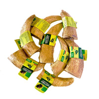 Water Buffalo Horn Core Dog Chews-2 Count-10 oz (WSP) - Rozie's Pet Supply LLC