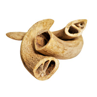 Water Buffalo Horn Core Dog Chews-2 Count-10 oz (WSP) - Rozie's Pet Supply LLC