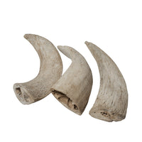 Water Buffalo Horn Core Dog Chews-2 Count-10 oz (WSP) - Rozie's Pet Supply LLC