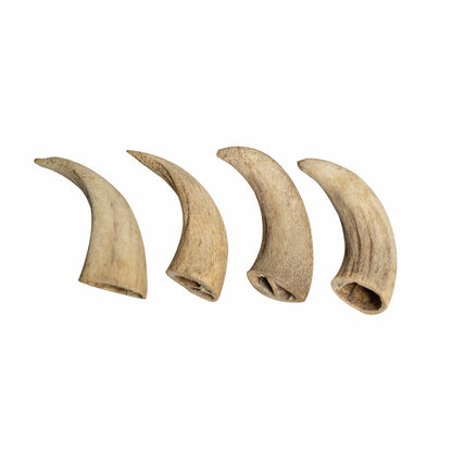 Water Buffalo Horn Core Dog Chews-2 Count-10 oz