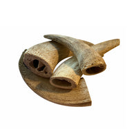Water Buffalo Horn Core Dog Chews-2 Count-10 oz - Rozie's Pet Supply LLC