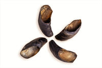 Water Buffalo Hooves Dog Chews-4 Count-10 oz - Rozie's Pet Supply LLC