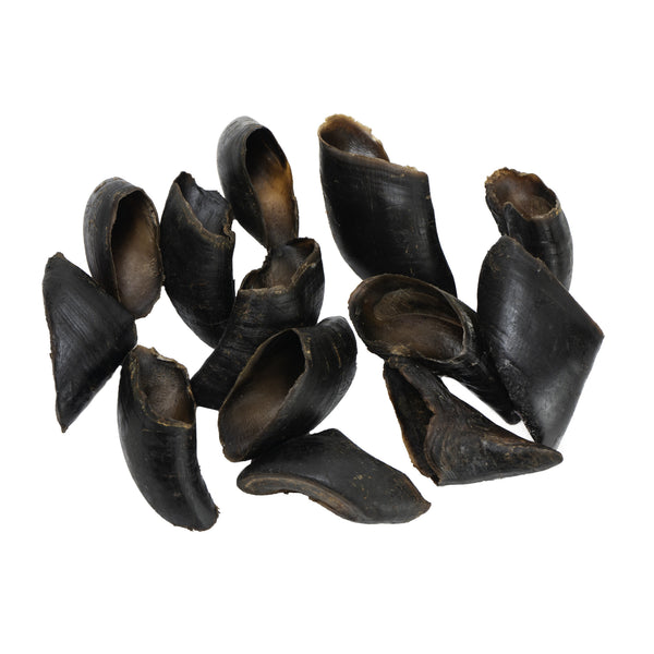 Water Buffalo Hooves - 25/27 Count - Rozie's Pet Supply LLC