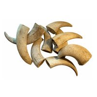 Water Buffalo Horn Core Dog Chews-2 Count-10 oz - Rozie's Pet Supply LLC