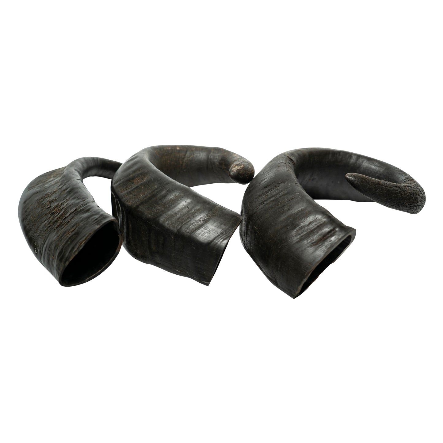 Water Buffalo Horn Dog Chews-2 Count-15 oz (WSP)