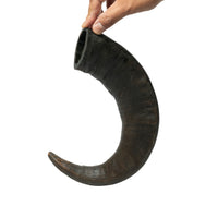 Water Buffalo Horn Dog Chews-2 Count-15 oz (WSP) - Rozie's Pet Supply LLC