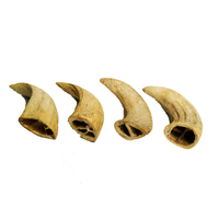 Water Buffalo Horn Core Dog Chews-2 Count-10 oz (WSP) - Rozie's Pet Supply LLC