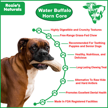Buffalo Horn Core Chews for Dogs