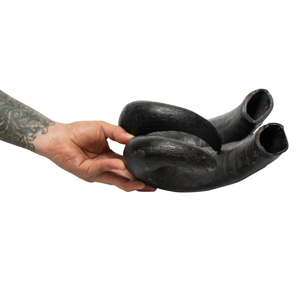 dogs-water-buffalo-horn-roziespetsupply.com