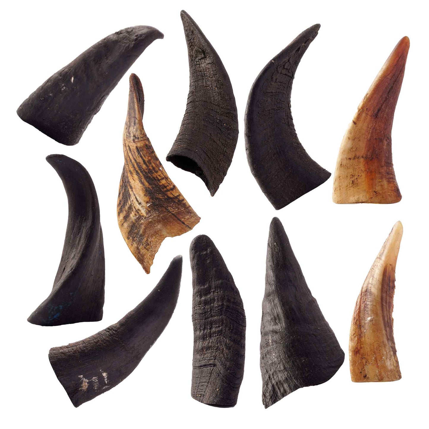 Mountain Goat Horn Dog Chews-10 Count-10 oz (WSP)
