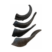 Mountain Goat Horn Dog Chews-10 Count-10 oz (WSP) - Rozie's Pet Supply LLC