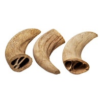 Water Buffalo Horn Core Dog Chews-2 Count-10 oz (WSP) - Rozie's Pet Supply LLC