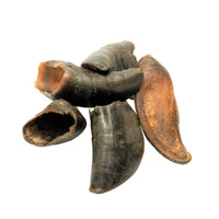 Water Buffalo Hooves Dog Chews-2 Count-5 oz - Rozie's Pet Supply LLC